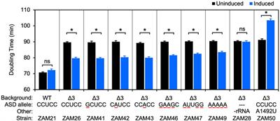 Comparative Analysis of anti-Shine- Dalgarno Function in Flavobacterium johnsoniae and Escherichia coli